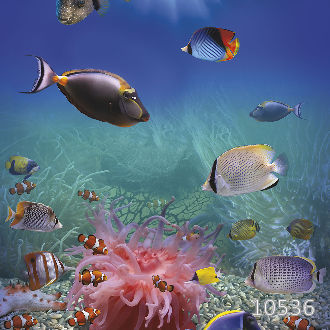 Подводный мир