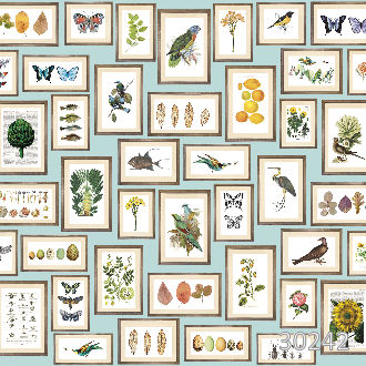 Биологическая коллекция