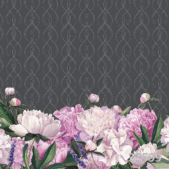 Пионы на фоне