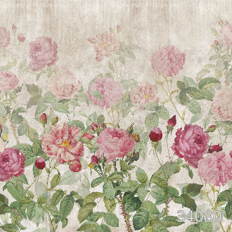 Wild roses