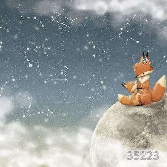 Лисята на фоне звездного неба