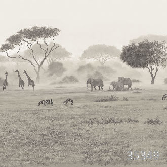 Вольные просторы