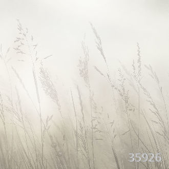 Поле, полное жизни