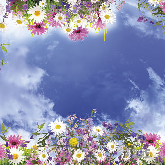 Небо с цветами